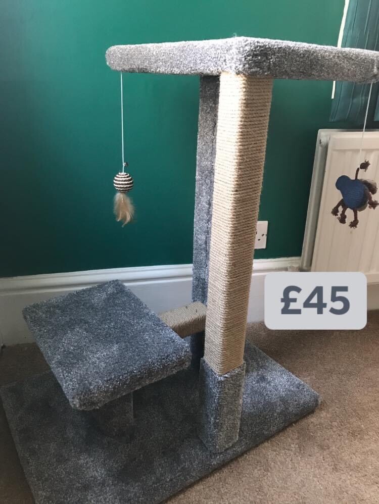 gumtree cat scratching post
